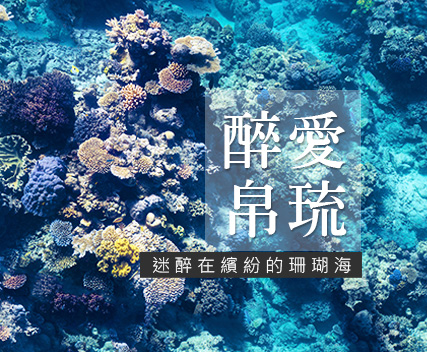 帛琉4/5日自由行．泳抱藍與綠海底世界